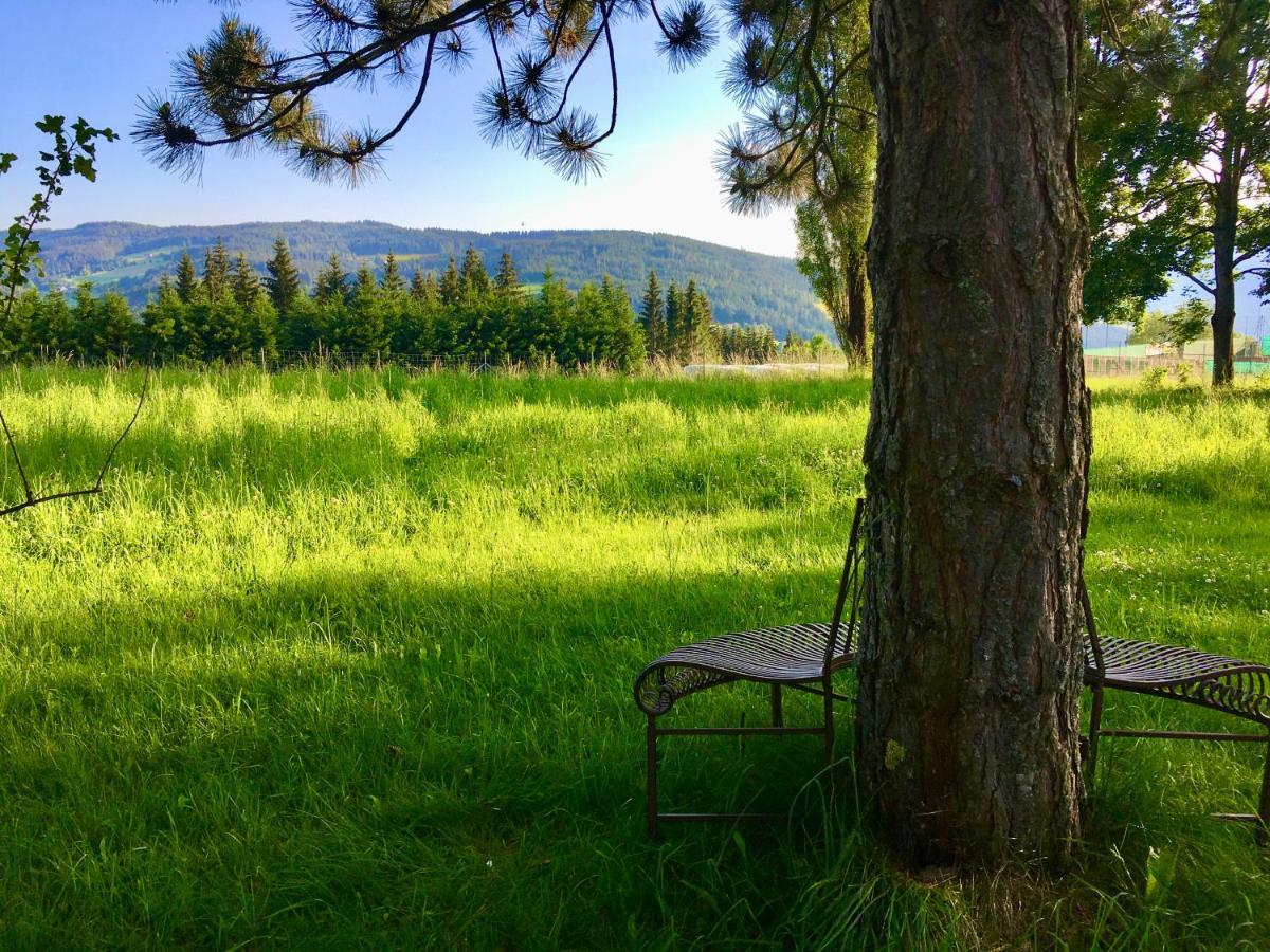 Preitenegg Naturforsthaus Gartenblick Fuer Hunde - Und Naturverbundene Menschen المظهر الخارجي الصورة
