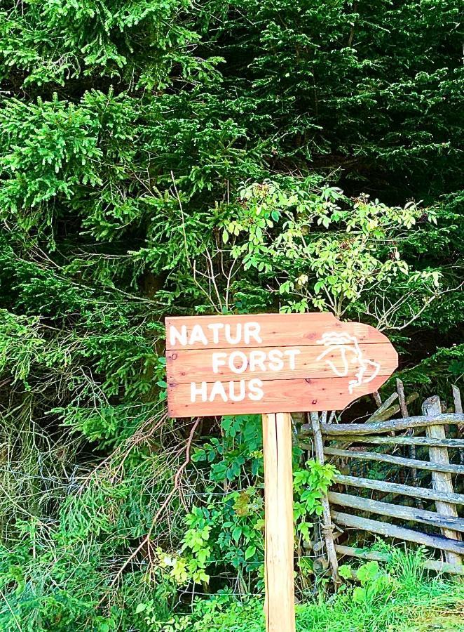 Preitenegg Naturforsthaus Gartenblick Fuer Hunde - Und Naturverbundene Menschen المظهر الخارجي الصورة