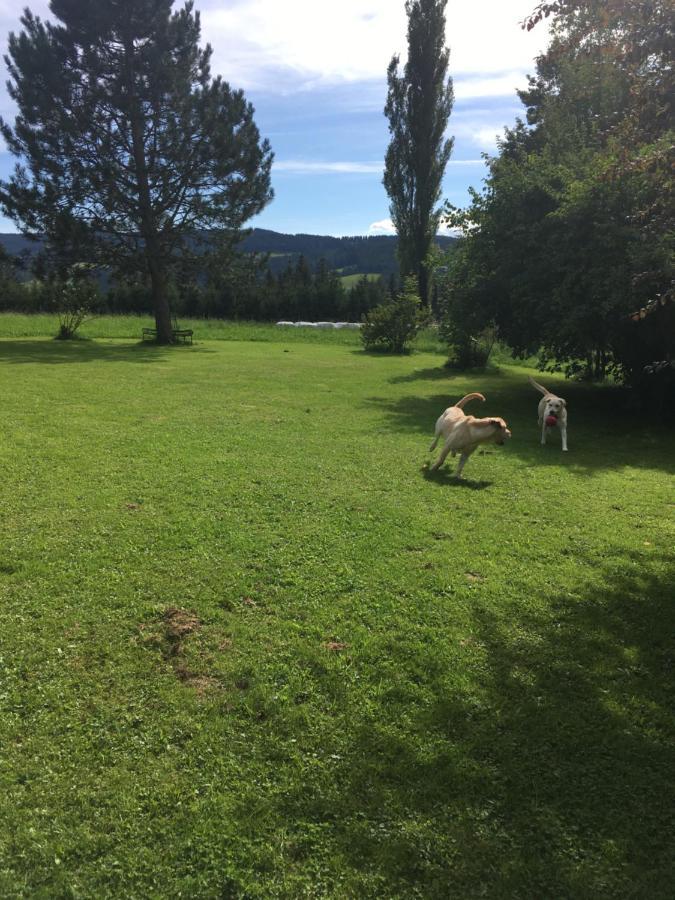 Preitenegg Naturforsthaus Gartenblick Fuer Hunde - Und Naturverbundene Menschen المظهر الخارجي الصورة